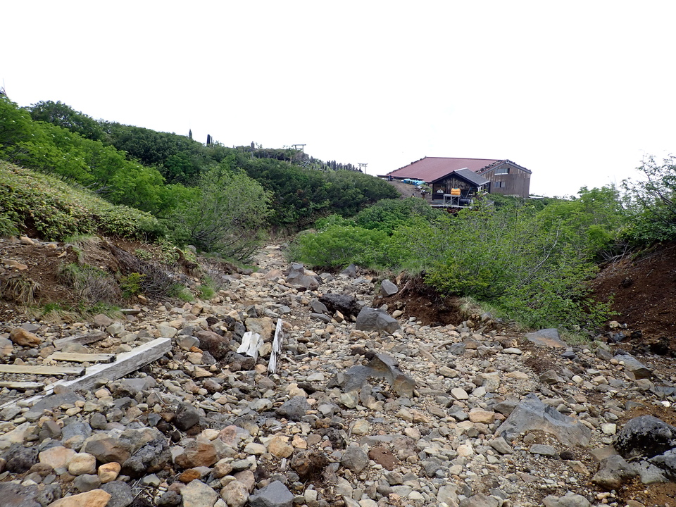 P7188822_mid.jpg