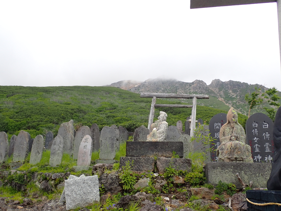 P7188827_mid.jpg