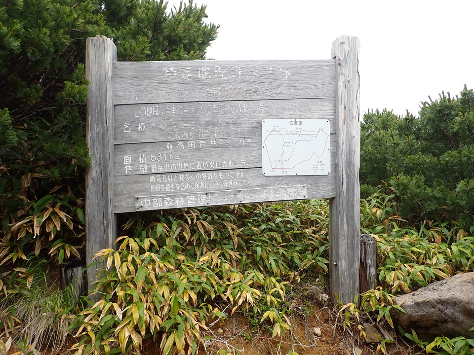 P7188830_mid.jpg