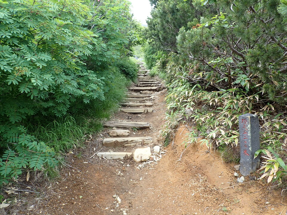 P7188832_mid.jpg