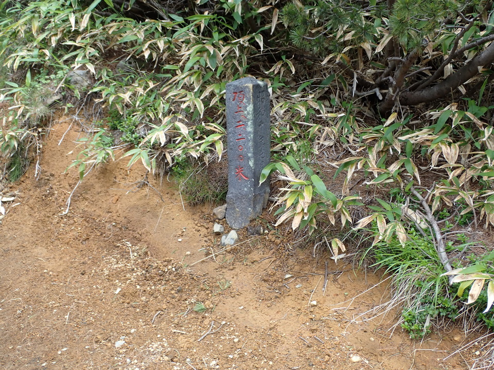 P7188833_mid.jpg