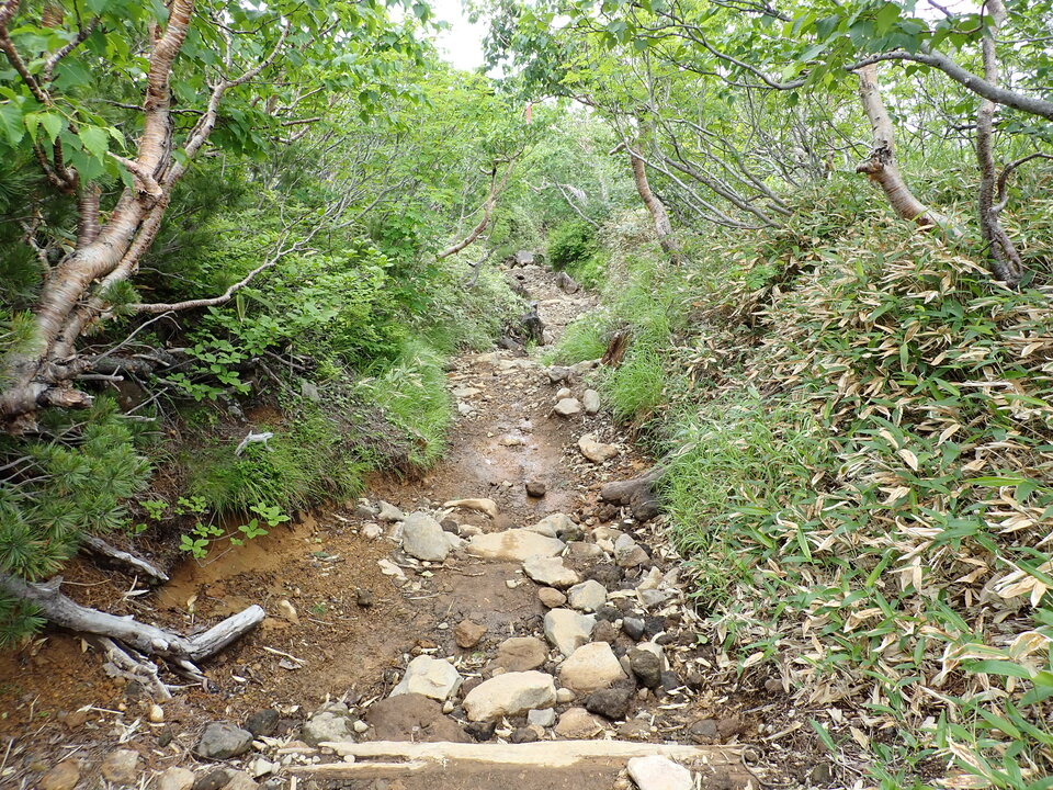 P7188834_mid.jpg