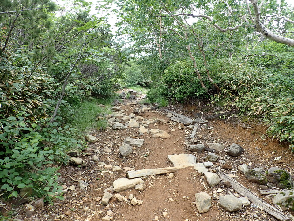 P7188836_mid.jpg