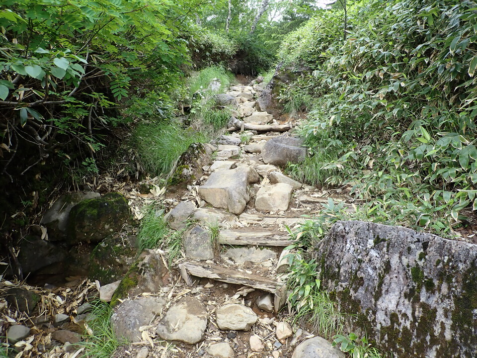 P7188839_mid.jpg