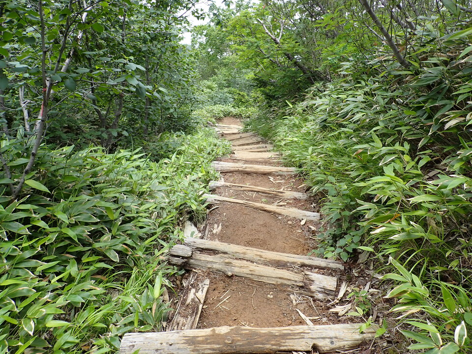P7188842_mid.jpg