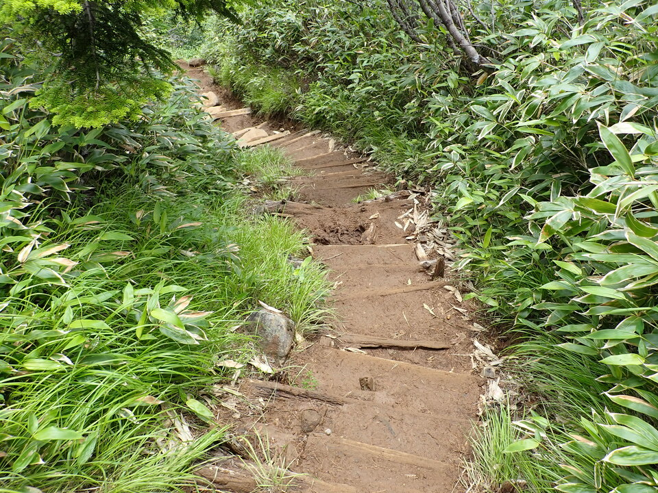 P7188845_mid.jpg