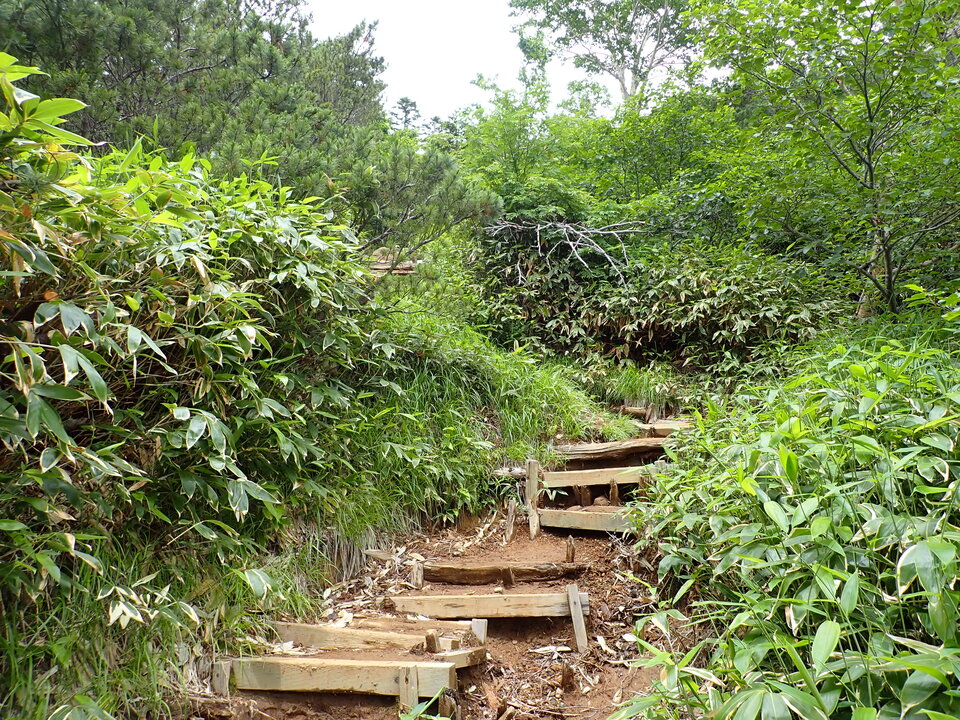 P7188850_mid.jpg