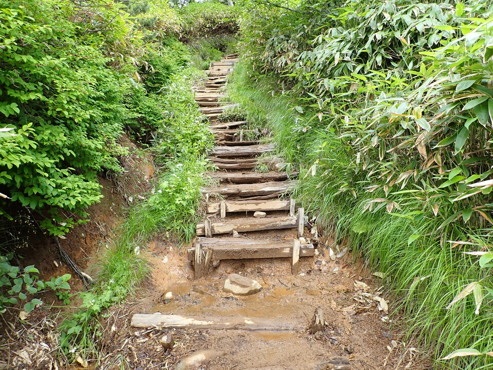 P7188855_mid.jpg