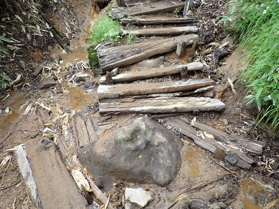 P7188858_mid.jpg