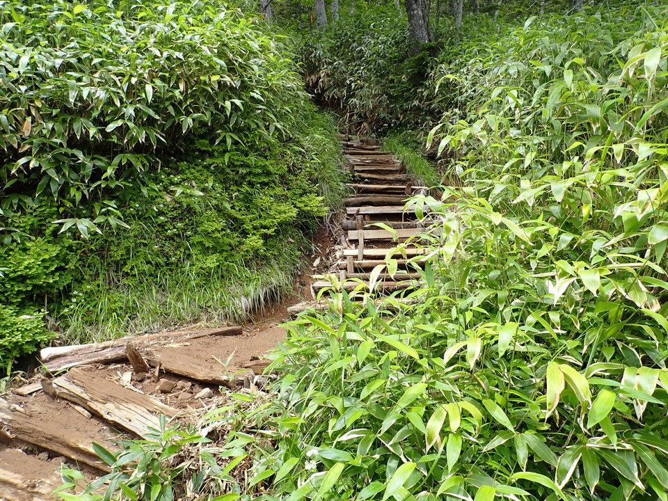 P7188866_mid.jpg