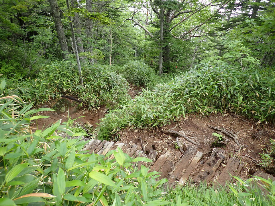 P7188879_mid.jpg