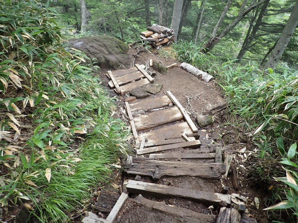 P7188882_mid.jpg