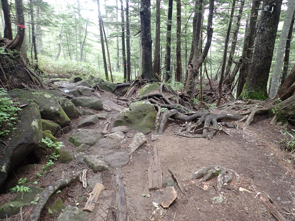 P7188884_mid.jpg