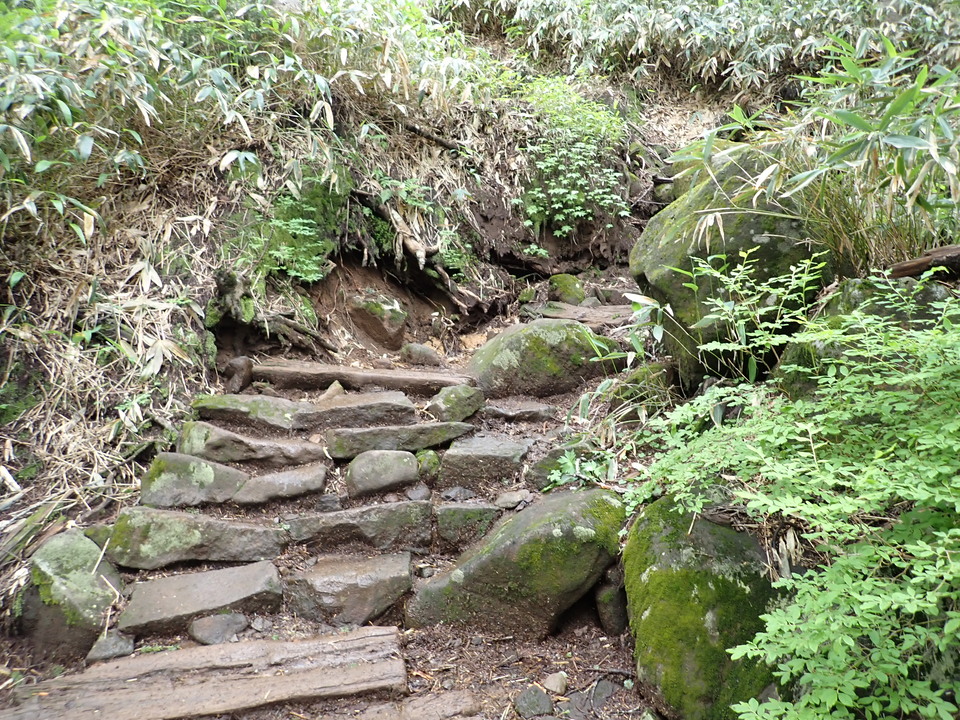 P7188886_mid.jpg