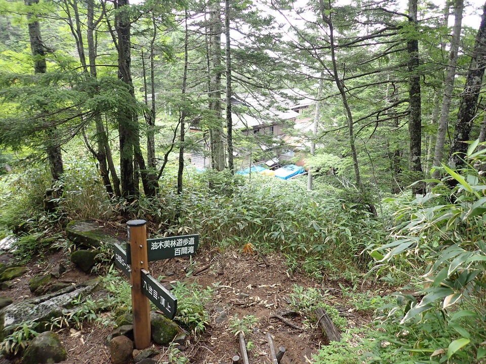 P7188889_mid.jpg