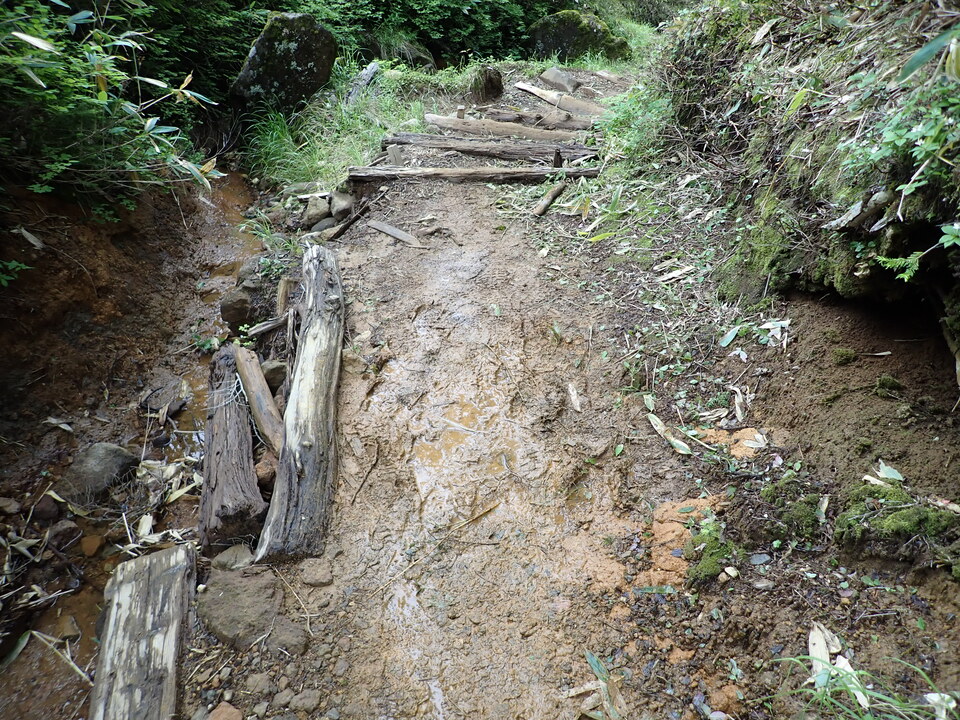 P7188904_mid.jpg