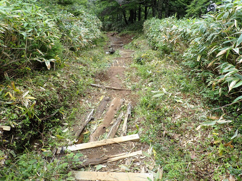 P7188906_mid.jpg