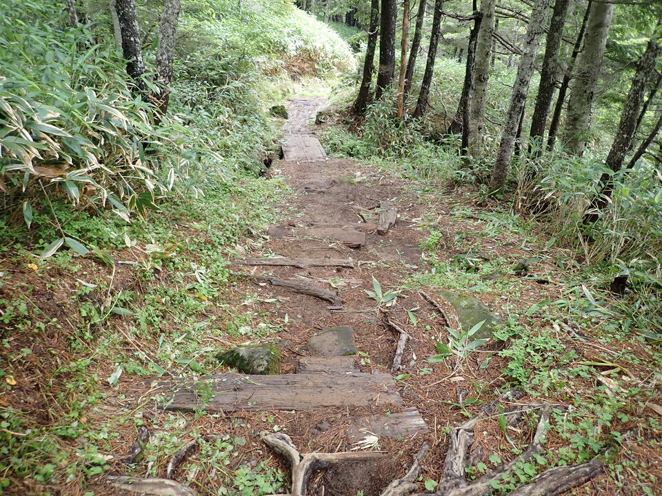 P7188908_mid.jpg