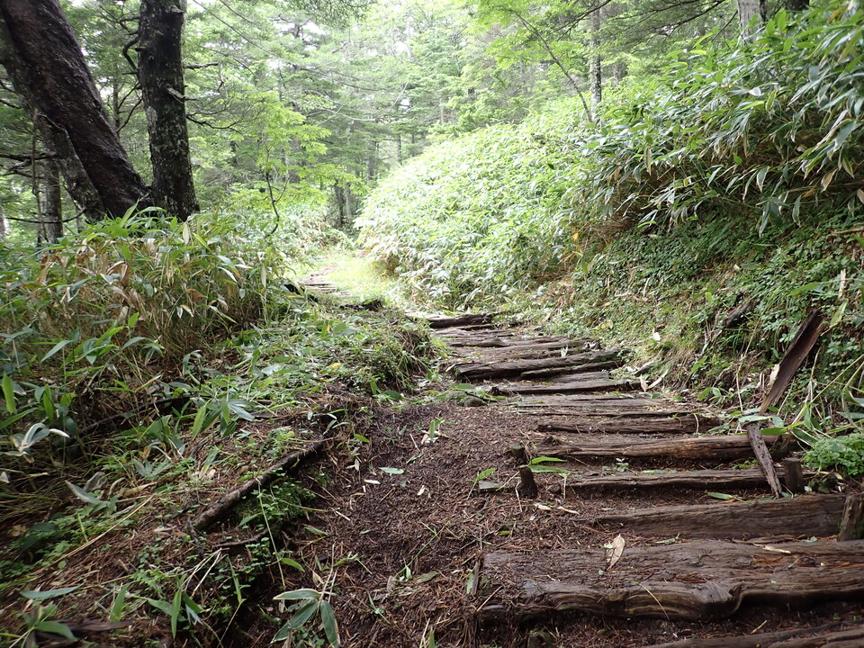 P7188911_mid.jpg