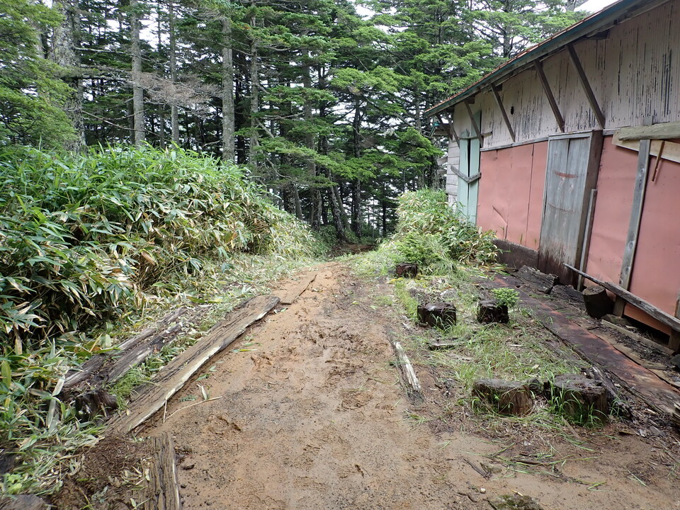 P7188916_mid.jpg