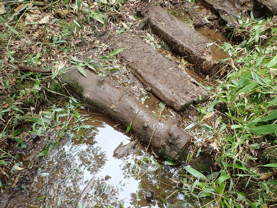 P7188934_mid.jpg