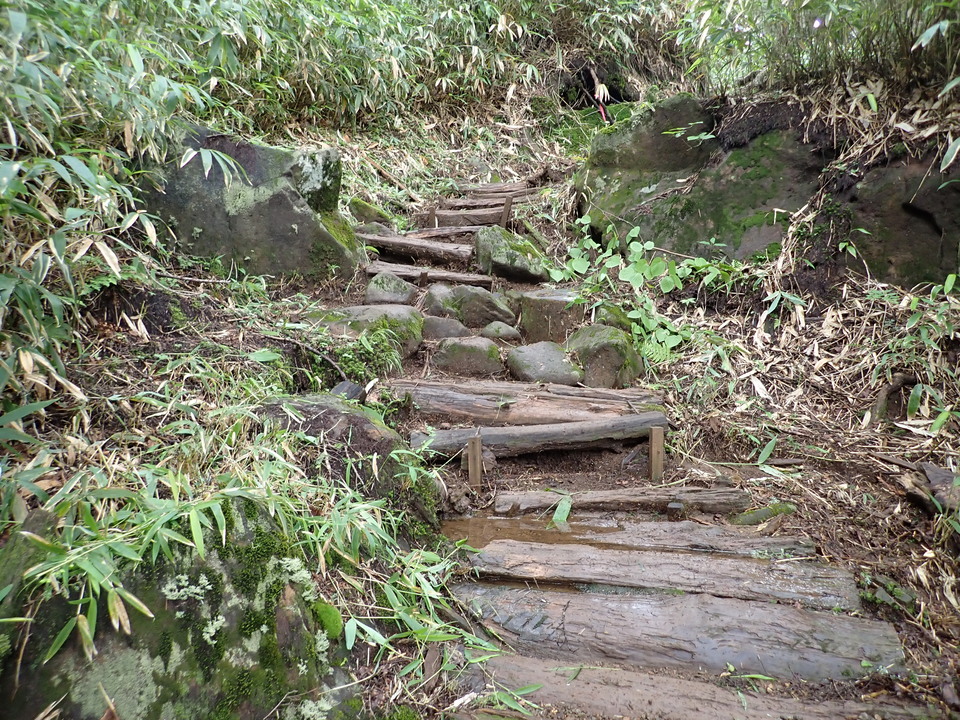 P7188939_mid.jpg