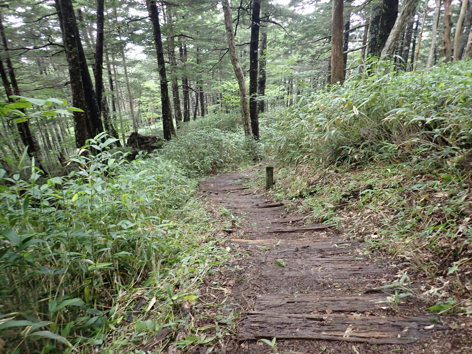 P7188940_mid.jpg