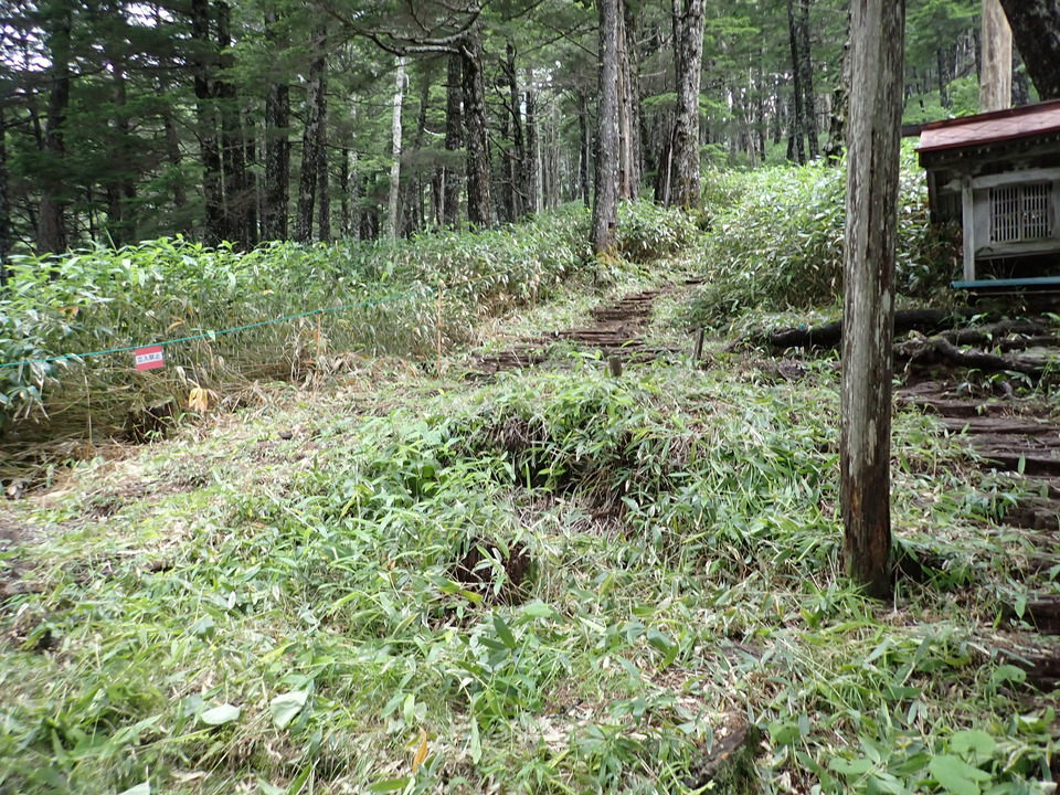 P7188943_mid.jpg