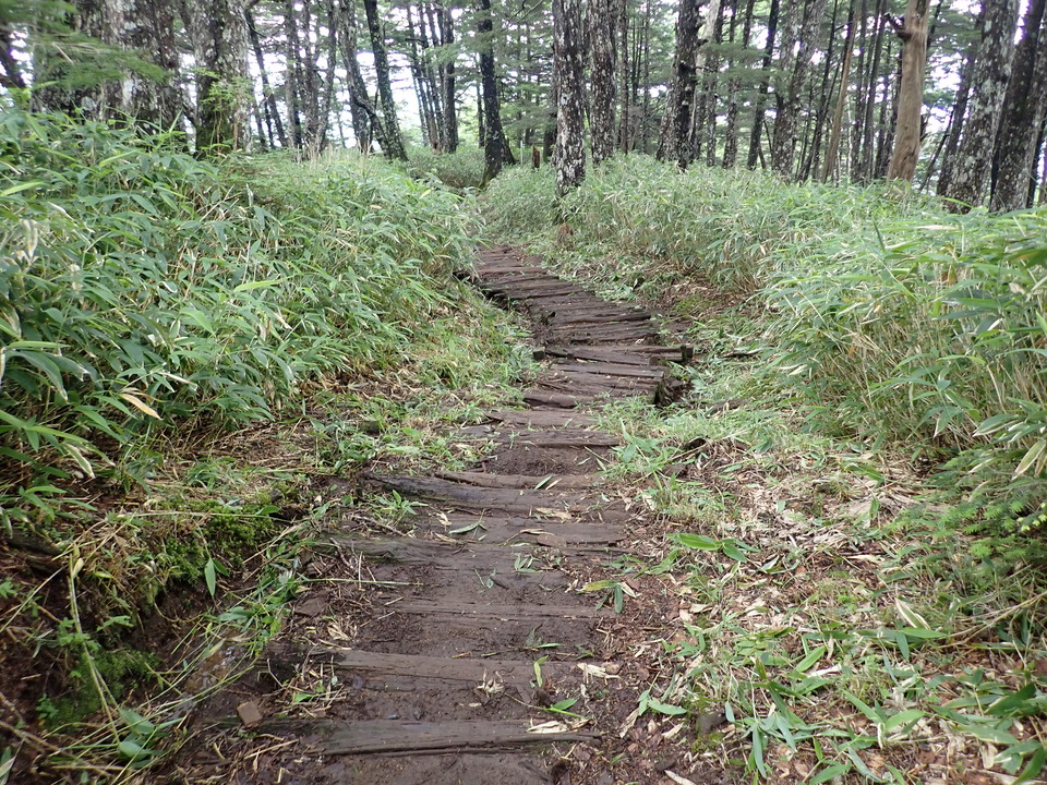P7188945_mid.jpg