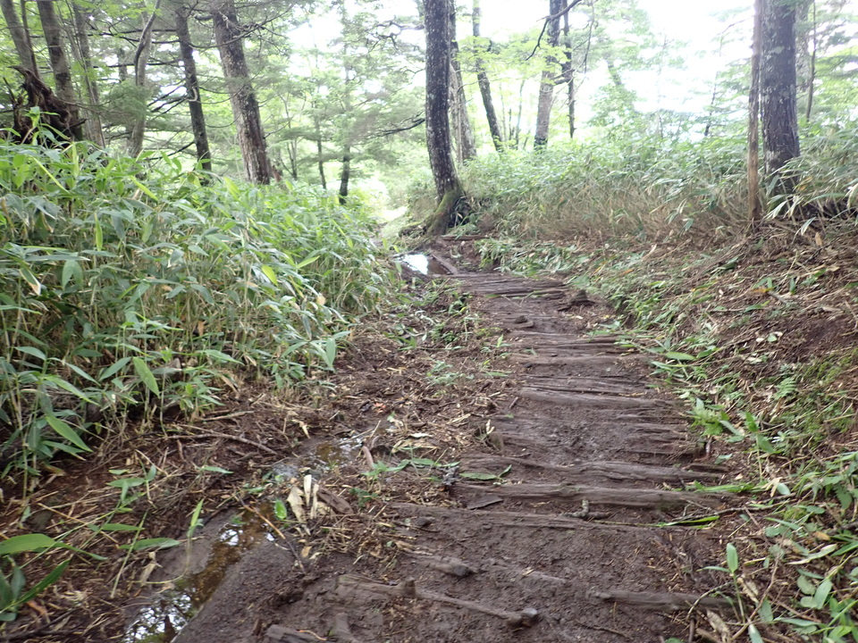 P7188949_mid.jpg