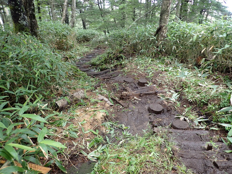 P7188951_mid.jpg