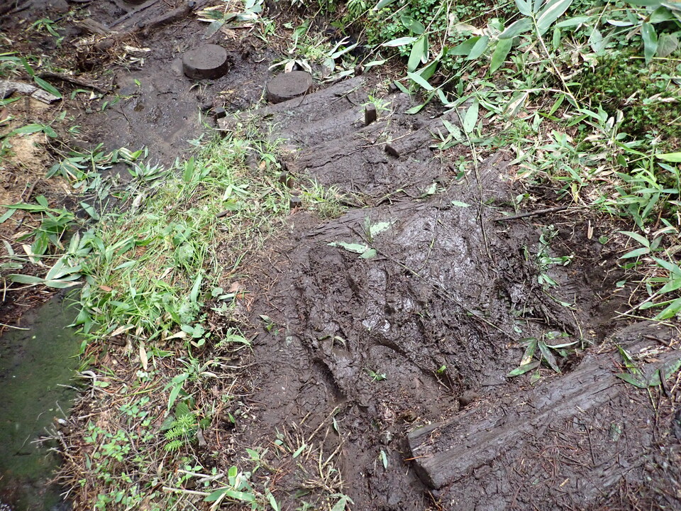 P7188952_mid.jpg