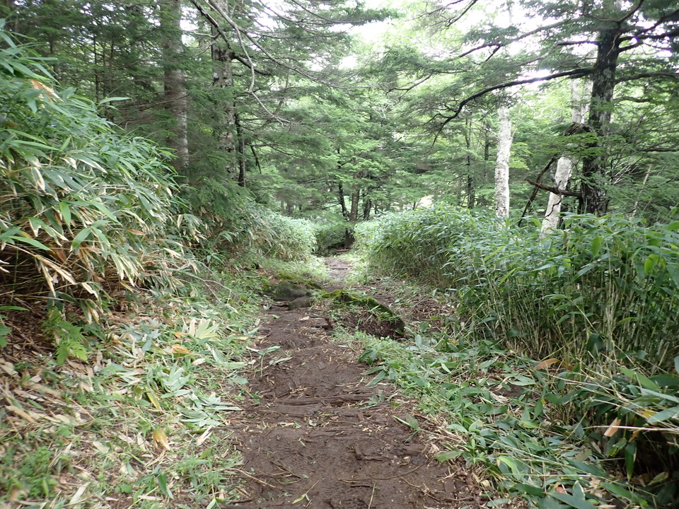 P7188954_mid.jpg