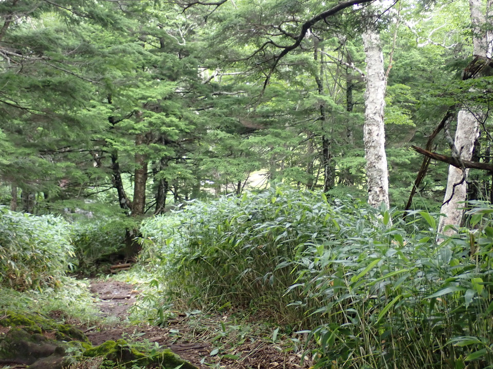 P7188955_mid.jpg