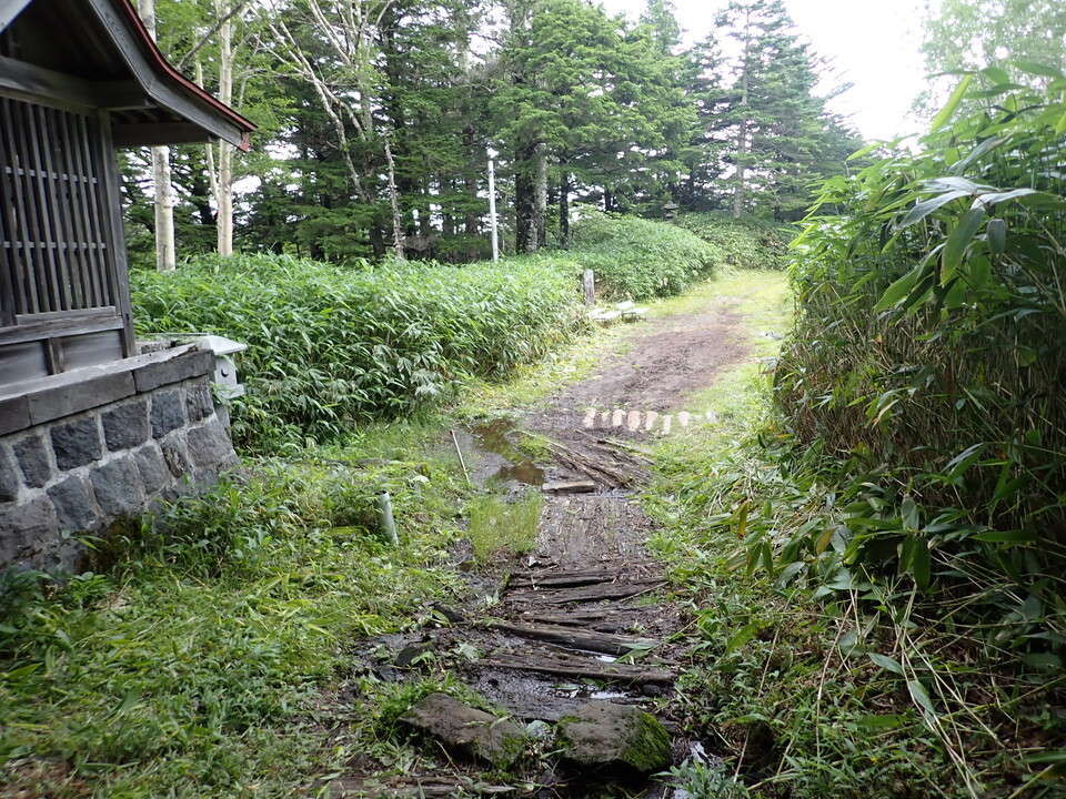 P7188957_mid.jpg