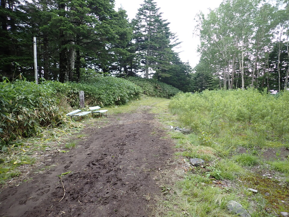 P7188960_mid.jpg