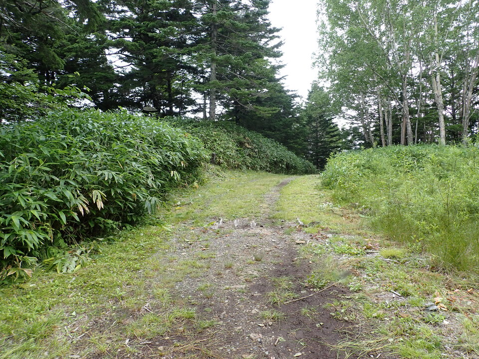 P7188964_mid.jpg