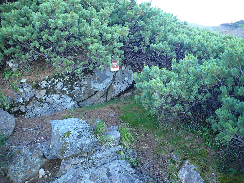 P7305417_mid.jpg