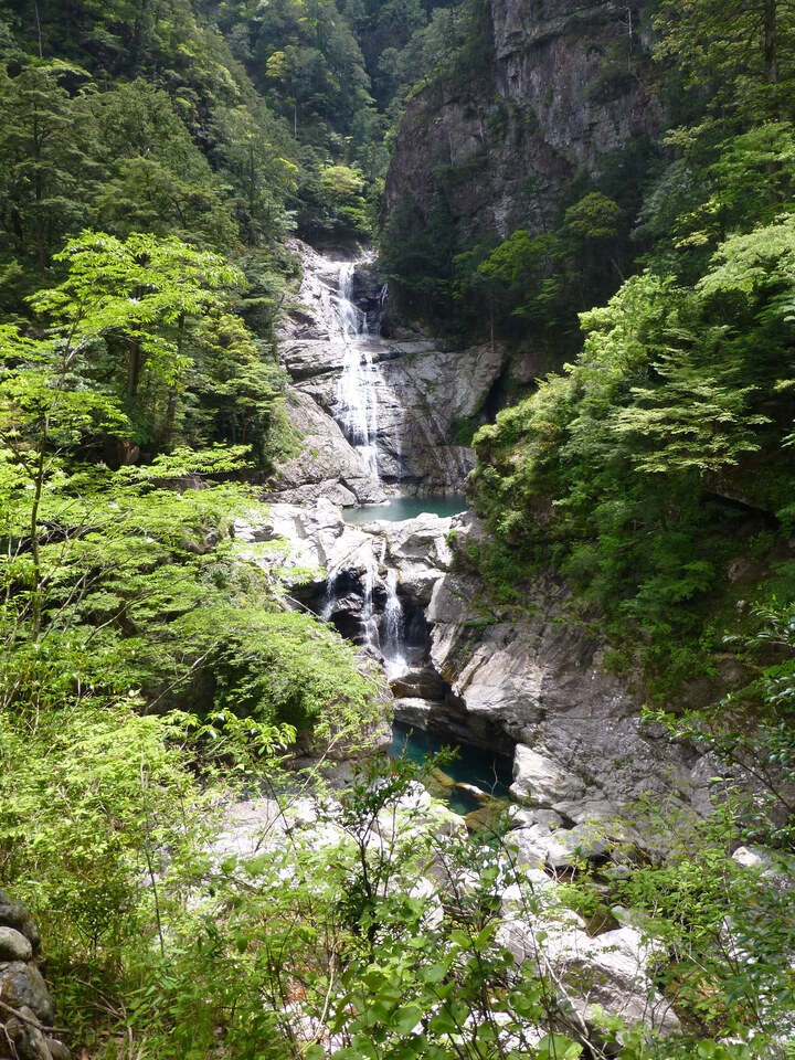 P1020858_mid.jpg