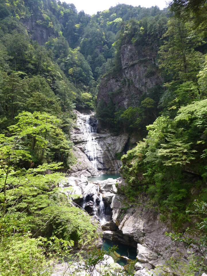 P1020860_mid.jpg