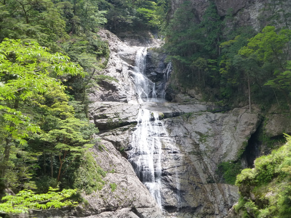 P1020861_mid.jpg