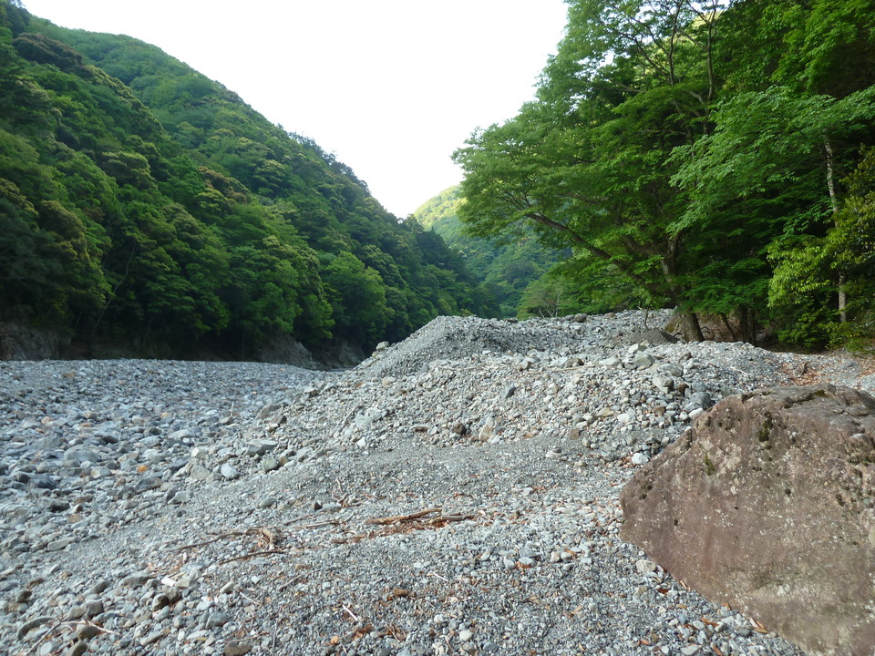 P1090992_mid.jpg