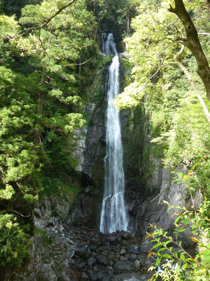 P1100104_mid.jpg