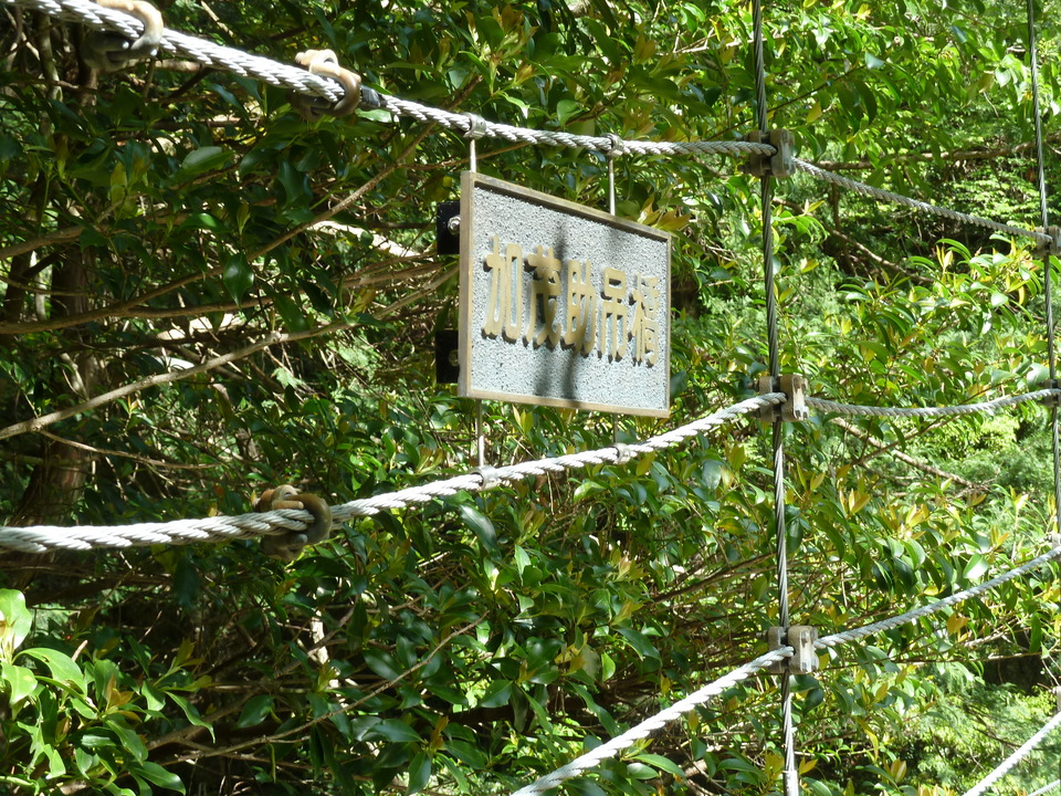 P1100140_mid.jpg