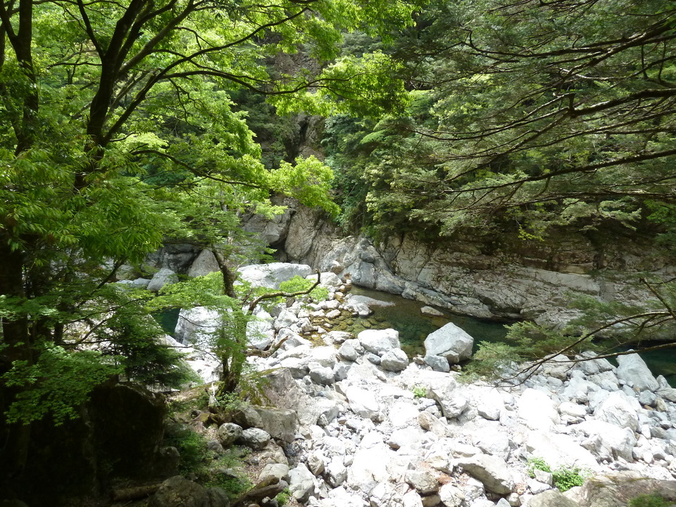 P1100166_mid.jpg