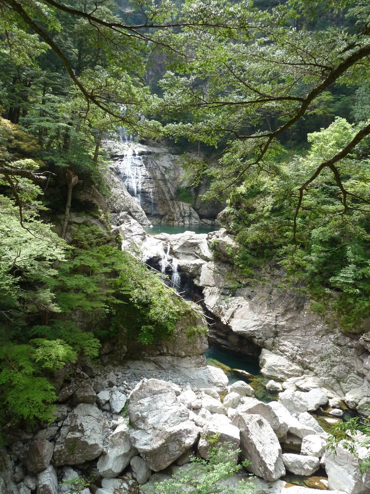P1100191_mid.jpg