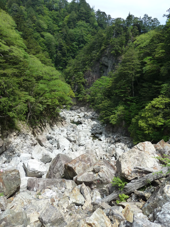 P1100243_mid.jpg