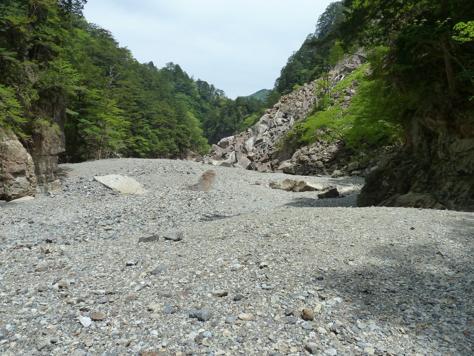 P1100265_mid.jpg