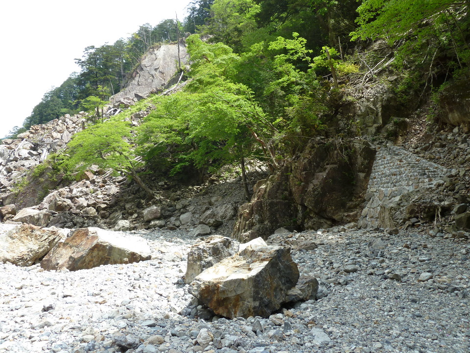 P1100266_mid.jpg