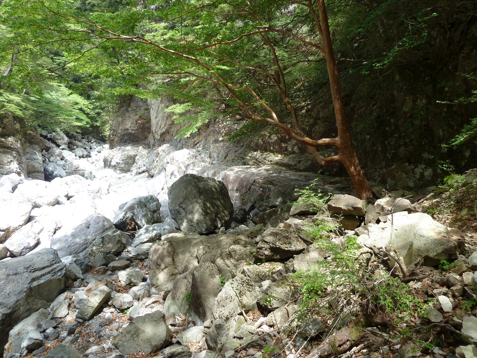 P1100271_mid.jpg